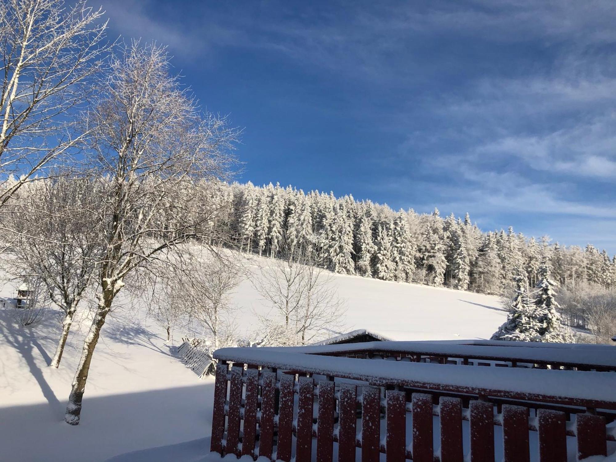Berghaus Winterberg Hotel Exterior photo